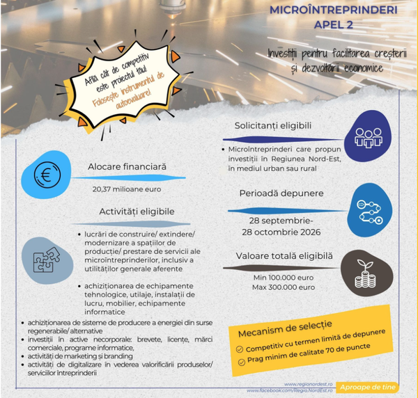 Finanțare de până la 300.000 € pentru microîntreprinderile din Nord-Est